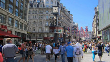 The survey was carried out in late July